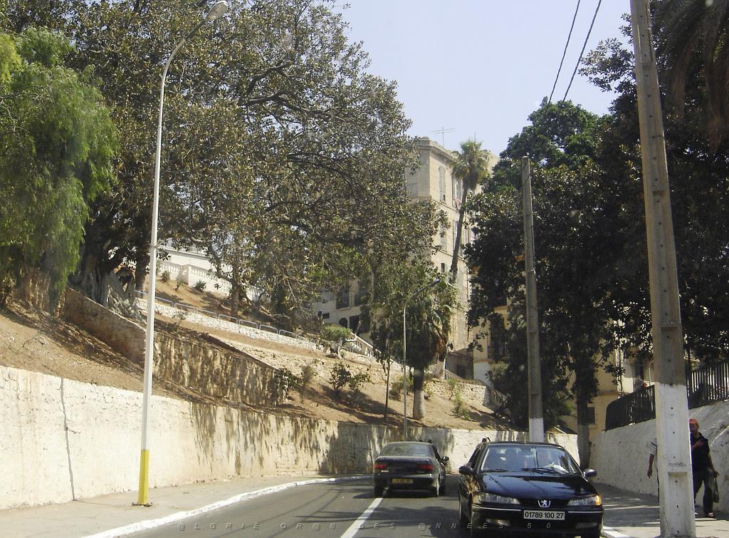 ORAN 2007 JUILLET 12 DE KEBIR A PLACE D ARMES-ARRIVEE QUARTIER SIDI HOUARI EX MARINE.jpg